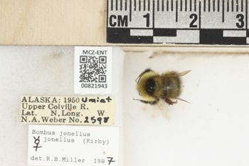 Media type: image;   Entomology 821943 Aspect: labels